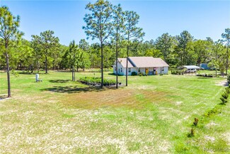 5251 NE 110th Ave, Bronson, FL 32621