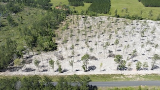 0 Paul McMilian Road (Tract 7) Unit 2-5629, Deridder, LA 70634