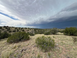 29 Trigg Trail, Los Cerrillos, NM 87010