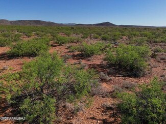 TBD Silver Creek Ranch Rd 39 Acre --, Douglas, AZ 85607