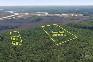 01 Fair Hope Rd NE, Townsend, GA 31331