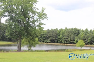 139 County Road 638, Pisgah, AL 35765