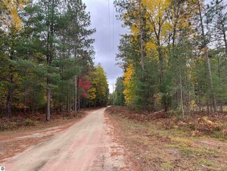 0 Twins Trail Unit E 1929963, South Boardman, MI 49680