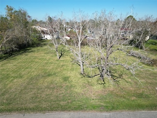 409 Carlton St, Brazoria, TX 77422