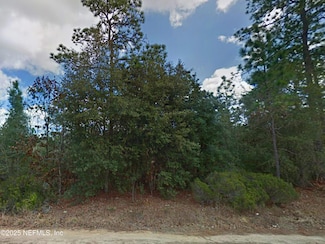 114 Dave St, Interlachen, FL 32148