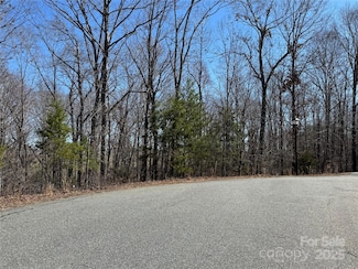 00 Shady Bark Ln, Rutherfordton, NC 28139