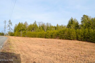 0 White Creek Dr Unit 1250571, Deer Lodge, TN 37726