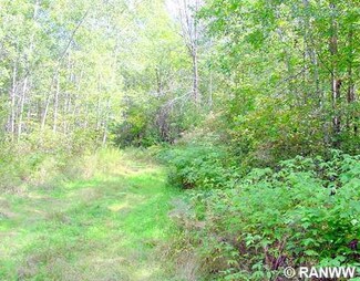 N4878 Town Line Rd, Ladysmith, WI 54848