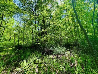 LOT 43 Paradise Rd, Todd Township, PA 16657
