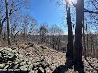 4 Prospero Rd, Highland, NY 12528