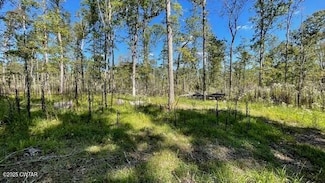 00 Harts Bridge Rd, Jackson, TN 38301