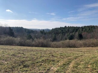 865 Orchid Ln, Independence, VA 24348
