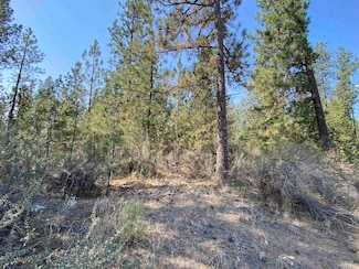 59XX Washington 291, Nine Mile Falls, WA 99026