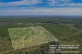 Lot 11 Growing Timbers Rd, Crawfordville, FL 32327