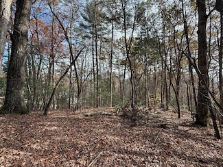 12 N Ridge Dr, Ellijay, GA 30540