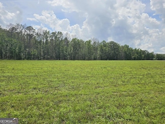 10143 U S 80, Brooklet, GA 30415