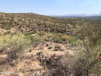 1565 Camino Bacalao Unit 46, Rio Rico, AZ 85648