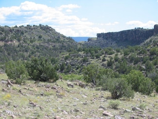 0000-15 E Wenima --, Springerville, AZ 85938