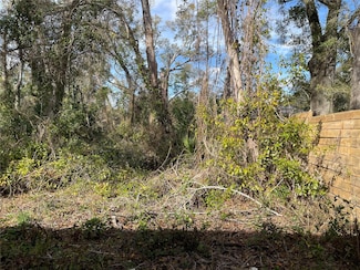 lot 1 NW 135th Terrace, Alachua, FL 32615