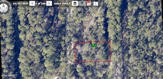 0 Deland Unit 1213697, Deland, FL 32724