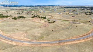 10905 Alamar Way, Black Forest, CO 80908