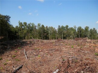 00 Old Hollow Rd, Walkertown, NC 27051
