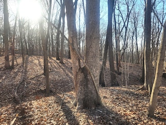 Lot 1764 Sunflower Dr, Roberts Township, IL 61375