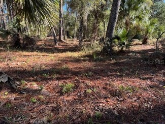 8779 N Ramble Point Unit 17, Citrus Springs, FL 34434