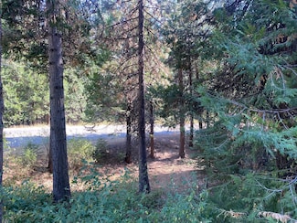 0 Gold Ridge Trail, Pollock Pines, CA 95726