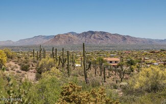 5700 W Plactia Del Risco, Tucson, AZ 85745