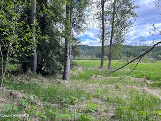 NNA High Meadow Dr, Priest River, ID 83856