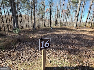 16 Country Rd, Ellijay, GA 30175