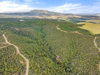 Tbd Wapiti Dr, Walsenburg, CO 81089