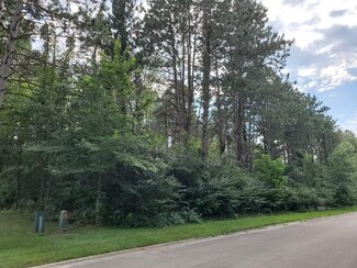 175 Norfolk Way, Essex, IL 60935