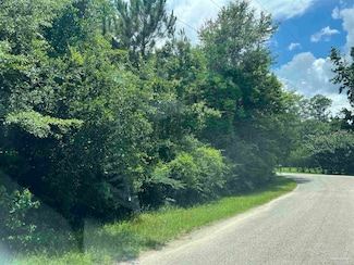Lot 1 Pine Meadows Loop, Pace, FL 32571