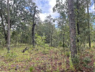 11851 SE 55th Ln, Morriston, FL 32668