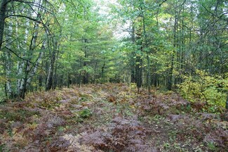 Lot 12 Wisconsin 47, Rhinelander, WI 54501