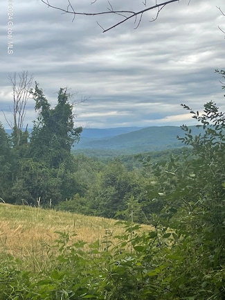 0 Old Gale Hill Rd Unit 202421598, New Lebanon, NY 12212