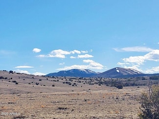 71 County Road N3448 Rd, Concho, AZ 85924