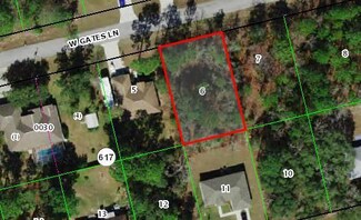 3284 W Gates Ln, Citrus Springs, FL 34433