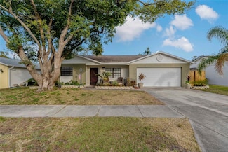 5036 Glenhurst Ln, New Port Richey, FL 34653