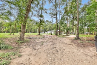 24824 W Christine Dr, Splendora, TX 77372