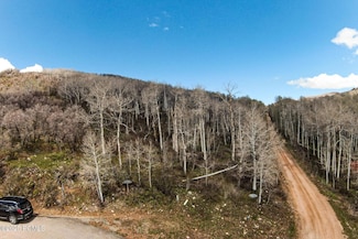 199 Mountain View Rd, Oakley, UT 84055