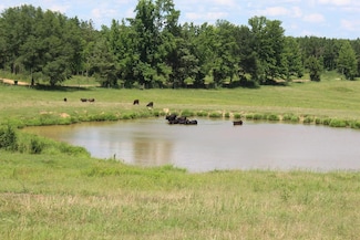 0000 Timberlane Rd, Wesson, MS 39191