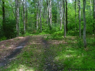 273 Weber Ln, Olivebridge, NY 12461