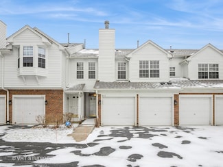 813 Kalamazoo Cir Unit 281, Vernon Hills, IL 60061