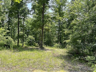 2460 Sardis Rd, Sardis, TN 38371