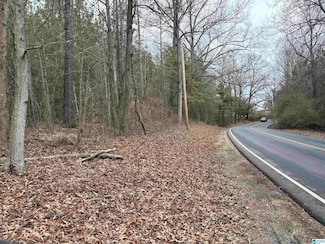 2590 Mud Creek Rd Unit 1, Adger, AL 35006