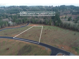 207 Ash Mountain Dr Unit 3, Castle Rock, WA 98611