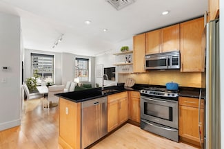 181 Essex St Unit E402, Boston, MA 02111